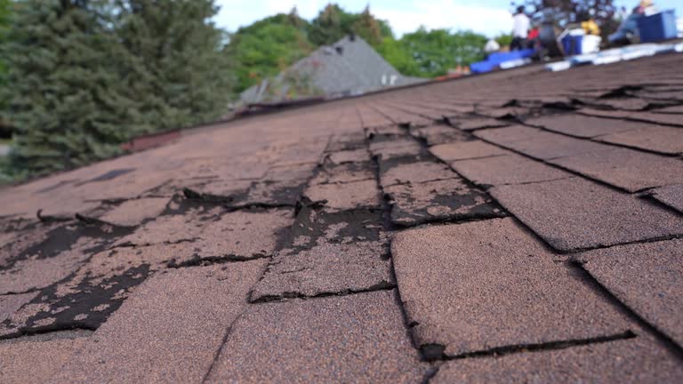 Best Rubber Roofing (EPDM, TPO)  in Normandy Park, WA